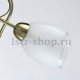 Потолочная люстра MW-Light Моника 372014006. 