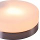 Потолочный светильник Globo Opal 48401. 
