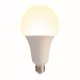 Лампа светодиодная (UL-00005604) Volpe E27 30W 3000K матовая LED-A95-30W/3000K/E27/FR/NR. 