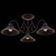 Потолочная люстра Evoluce Ciolla SLE120402-03. 
