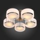 Потолочная люстра ST Luce Foresta SL483.352.05. 