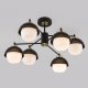 Потолочная люстра Eurosvet Nocciola 70106/6. 
