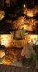 Уличный подводный светильник LD-Lighting LD-U LD-U001. 