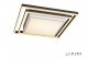 Потолочный светильник iLedex Summery B6308-97W/550*550 WH. 
