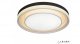 Потолочный светильник iLedex Summery B6317-192W/800 WH. 