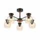 Потолочная люстра Evoluce Rasco SLE108102-05. 
