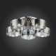Потолочная люстра ST Luce Foresta SL483.702.05. 