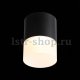 Потолочный светодиодный светильник ST Luce Ottu ST100.402.15. 