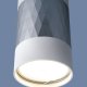 Потолочный светильник Elektrostandard Mizar DLN110 GU10 белый/серебро 4690389148705. 