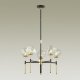 Потолочная люстра Odeon Light Stono 4789/5. 