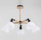 Потолочная люстра Alfa Bushwick 25185. 
