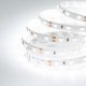 Лента светодиодная [5 м] Arlight RT 2-5000 12V Day5000 (3528, 300 LED, CRI98) 021418(1). 