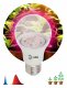 Лампа светодиодная Эра  E27 9Вт 1310K A60-12S 9W DR/B PPF1.4umol/J Filcker 10%. 