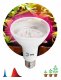 Лампа светодиодная Эра  E27 16Вт 1310K BR30-2S 11W DR/B PPF1.5umol/J Filcker 10%. 