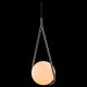 Подвесной светильник Loft IT Glob LOFT2599-B. 