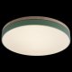 Потолочный светильник Loft IT Axel 10001/36 Green. 