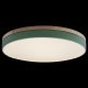 Потолочный светильник Loft IT Axel 10001/36 Green. 