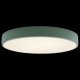 Потолочный светильник Loft IT Axel 10002/24 Green. 
