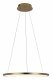 Подвесной светодиодный светильник Loft IT Ring 10014M. 