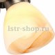 Спот Arte Lamp Tulip A9581AP-1AB. 