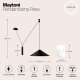 Подвесной светильник Maytoni Peso P080PL-01B. 