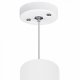 Подвесной светильник Lightstar Rullo RP6486487. 