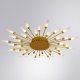 Потолочная люстра Arte Lamp Maple A1276PL-36GO. 