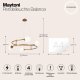 Подвесная люстра Maytoni Balance MOD317PL-04G. 