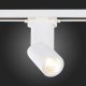 Трековый светодиодный светильник ST Luce ST650.536.10. 