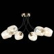 Потолочная люстра Evoluce Besano SLE205302-06. 