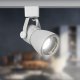 Трековый светильник ЭРА TR38-GU10 WH Б0053307. 