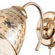 Бра Escada Freesia 658/1A Gold. 