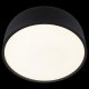 Потолочный светильник Loft IT Axel 10201/350 Black. 