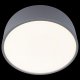 Потолочный светильник Loft IT Axel 10201/350 Grey. 