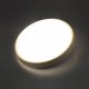 Настенно-потолочный светодиодный светильник Sonex Losta 7607/CL. 