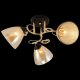 Потолочная люстра Reluce 01321-0.3-03 FGD+BK. 