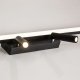 Потолочный светодиодный светильник Favourite Reticenza 4089-2C. 
