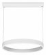 Подвесной светильник Ambrella light ACRYLICA FA6605. 