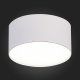 Потолочный светодиодный светильник ST Luce ST606.542.12. 