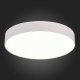Потолочный светодиодный светильник ST Luce ST606.542.48. 