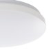 Настенно-потолочный светодиодный светильник Eglo Frania-S 900363. 