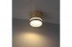 Накладной потолочный светильник Ritter Arton 59945 6. 