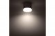 Накладной потолочный светильник Ritter Arton 59946 3. 