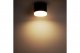 Накладной потолочный светильник Ritter Arton 59947 0. 