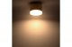 Накладной потолочный светильник Ritter Arton 59949 4. 