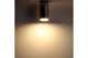 Накладной потолочный светильник Ritter Arton 59952 4. 