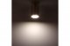 Накладной потолочный светильник Ritter Arton 59953 1. 