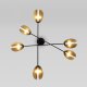 Потолочная люстра Eurosvet Grazia 70148/6 черный/золото. 