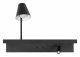 Настенный светильник Loft IT Shelf 10216/2W Black. 