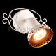 Настенно-потолочный светильник Arte Lamp Focus A5219AP-1WG. 